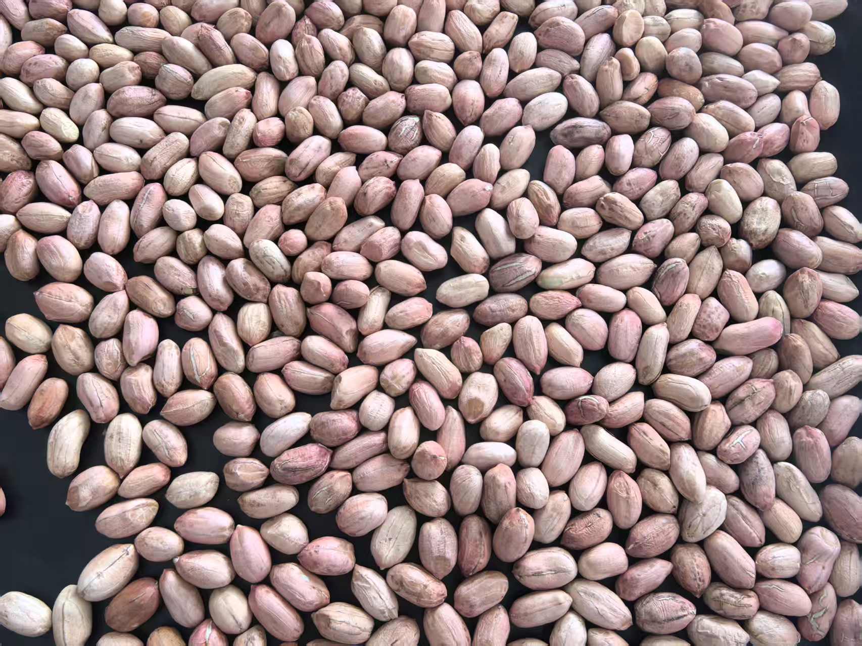 出售花豫全系列规格米、精选米