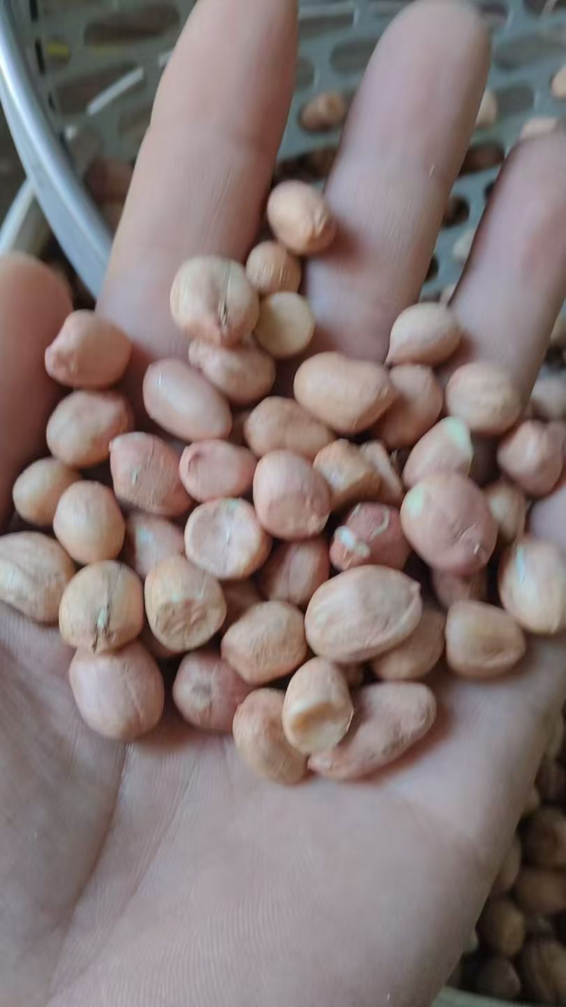 ���۽��ն���8��ɸ��Ʒ����ɫ�ÿ������ػ�