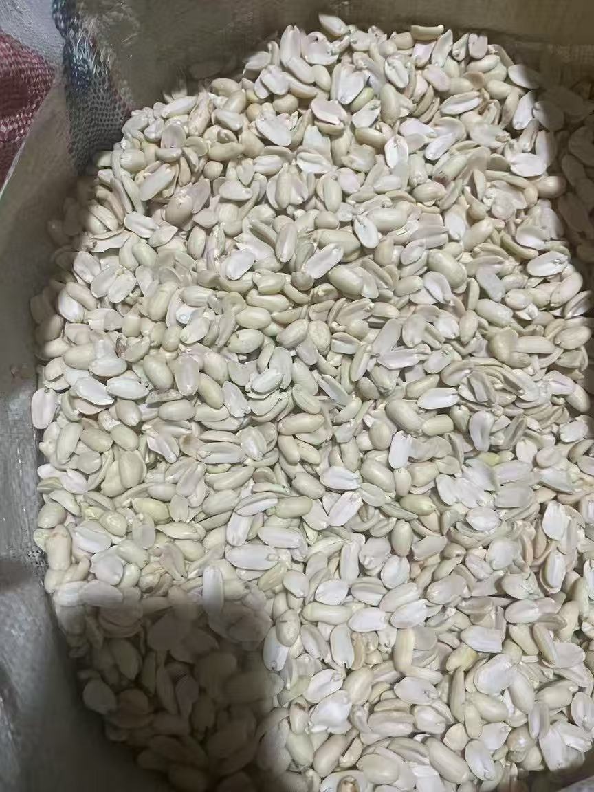 河南开封出售9616色选果,乳白瓣米